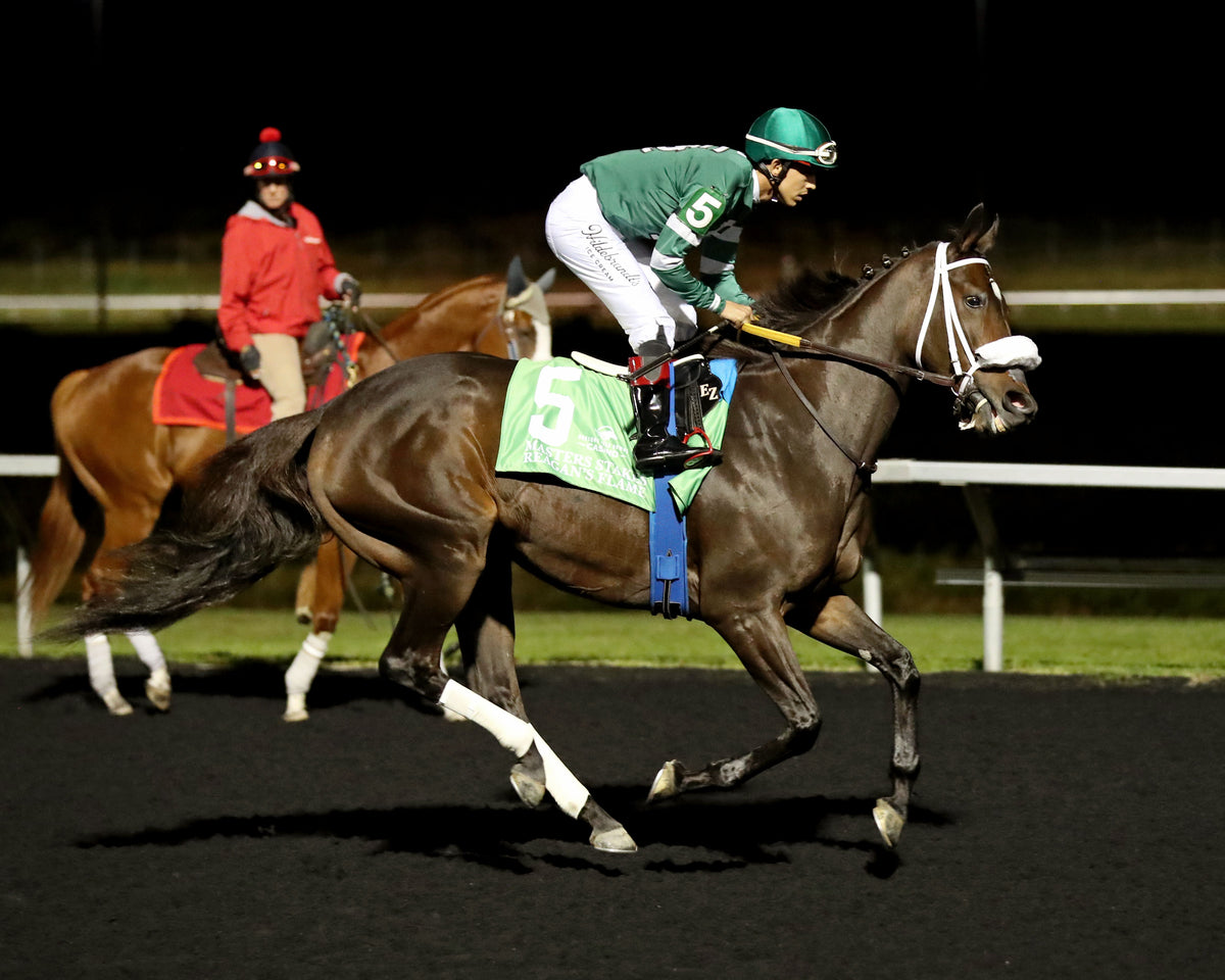 REAGAN'S FLAME - The Presque Isle Masters Stakes - G2 - 09-18-26 - R09 - PID - Post Parade 01