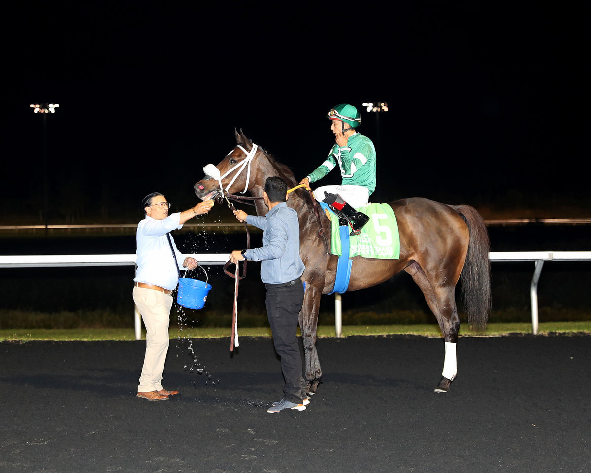 REAGAN'S FLAME - The Presque Isle Masters Stakes - G2 - 09-18-26 - R09 - PID - Post Race