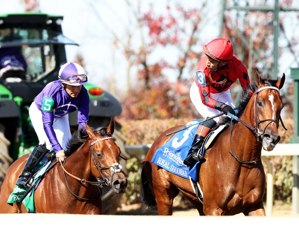 REAL GOODBAR - The Thoroughbred Aftercare Alliance - 10-30-26 - R03 - KEE - Come Back 01 - Coady Media - Kurtis Coady Photography