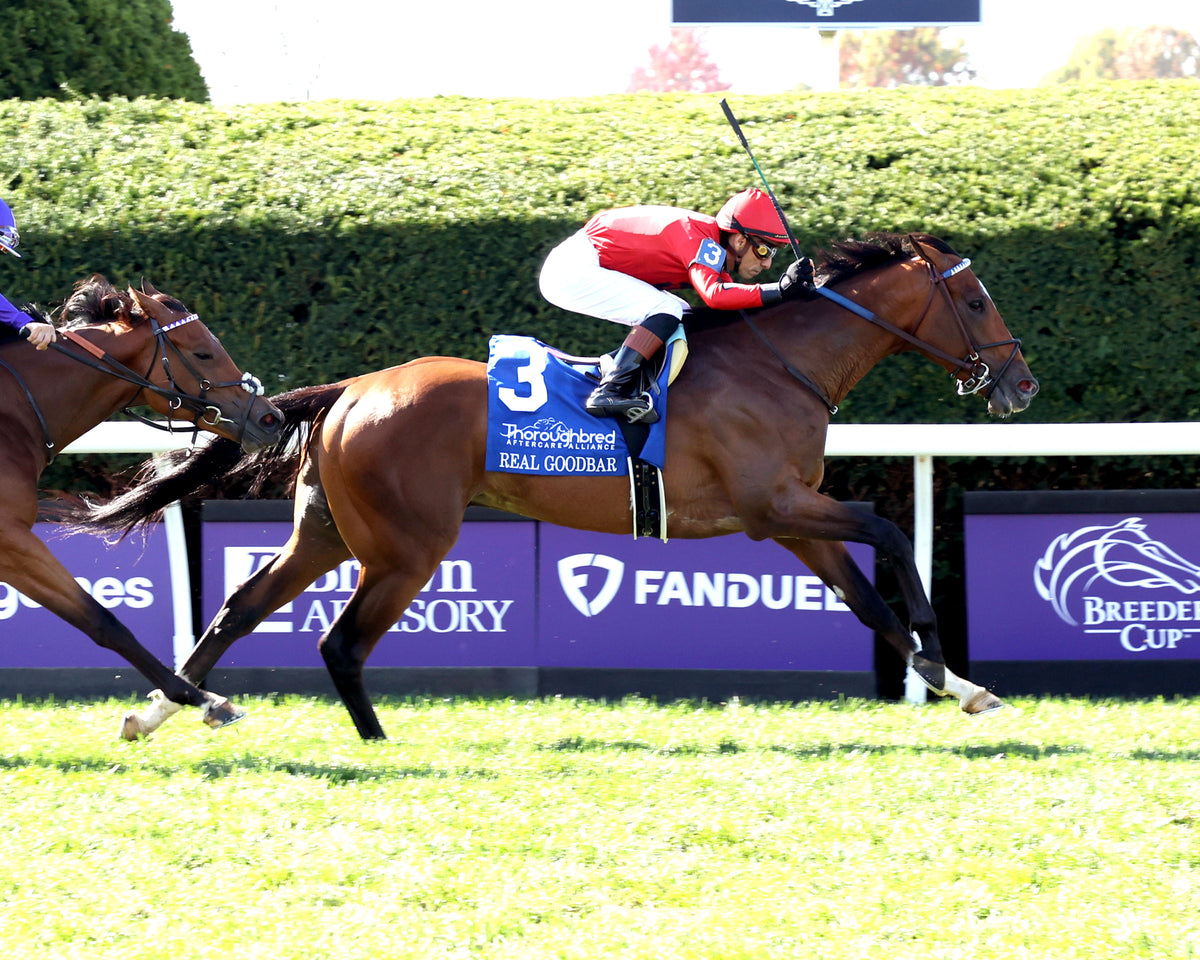 REAL GOODBAR - The Thoroughbred Aftercare Alliance - 10-30-26 - R03 - KEE - Finish 01 - Coady Media - Kurtis Coady Photography