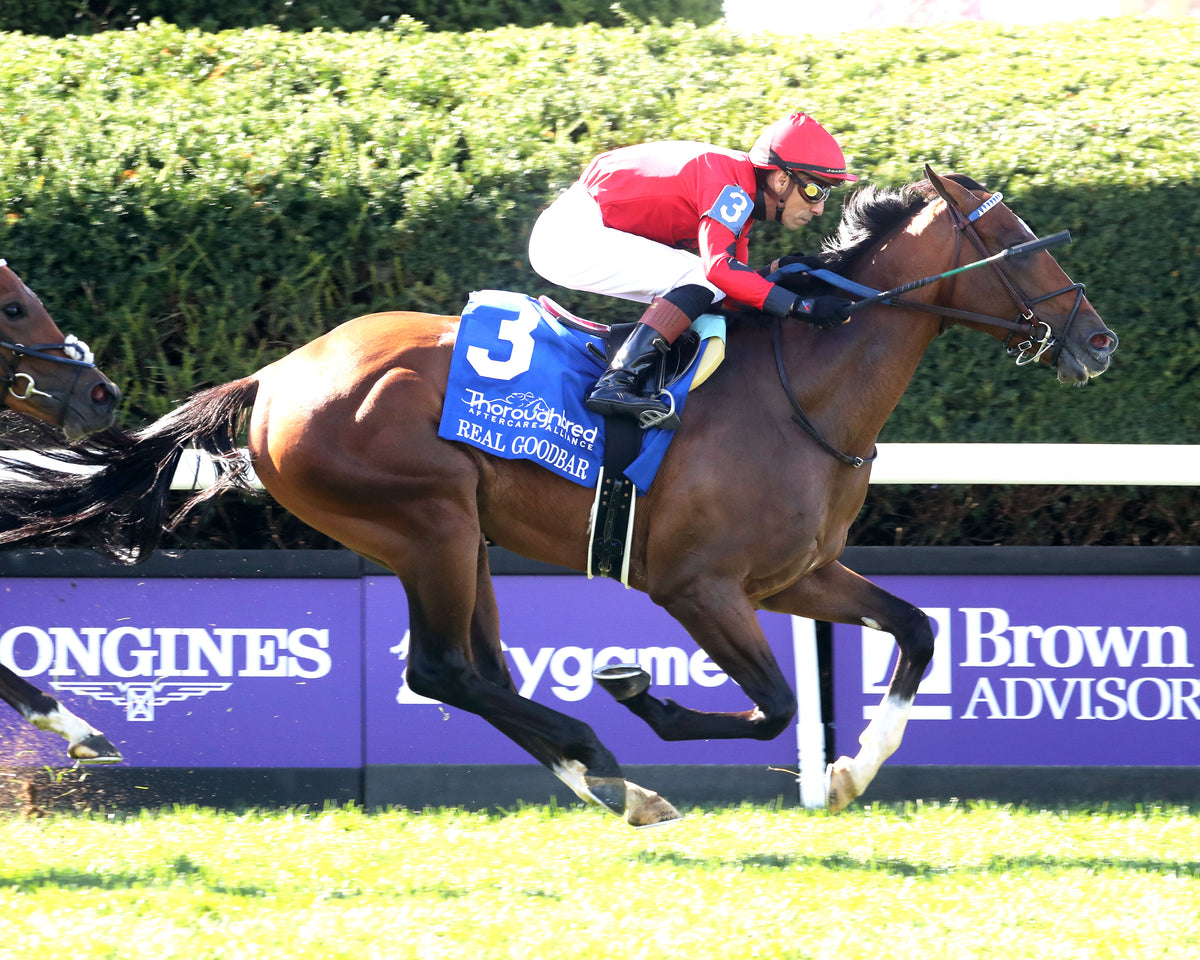 REAL GOODBAR - The Thoroughbred Aftercare Alliance - 10-30-26 - R03 - KEE - Finish 04 - Coady Media - Kurtis Coady Photography