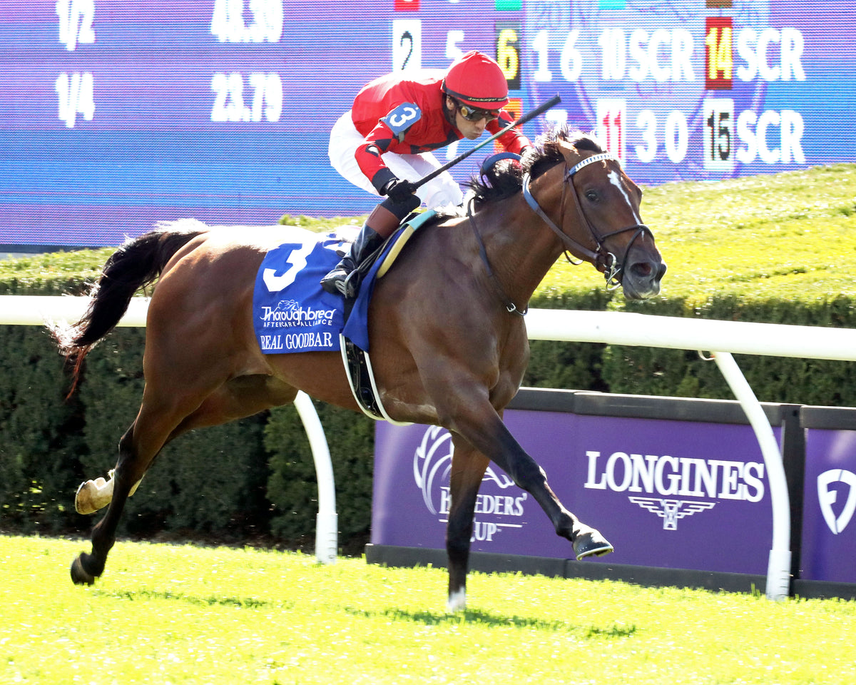 REAL GOODBAR - The Thoroughbred Aftercare Alliance - 10-30-26 - R03 - KEE - Finish 05 - Coady Media - Kurtis Coady Photography
