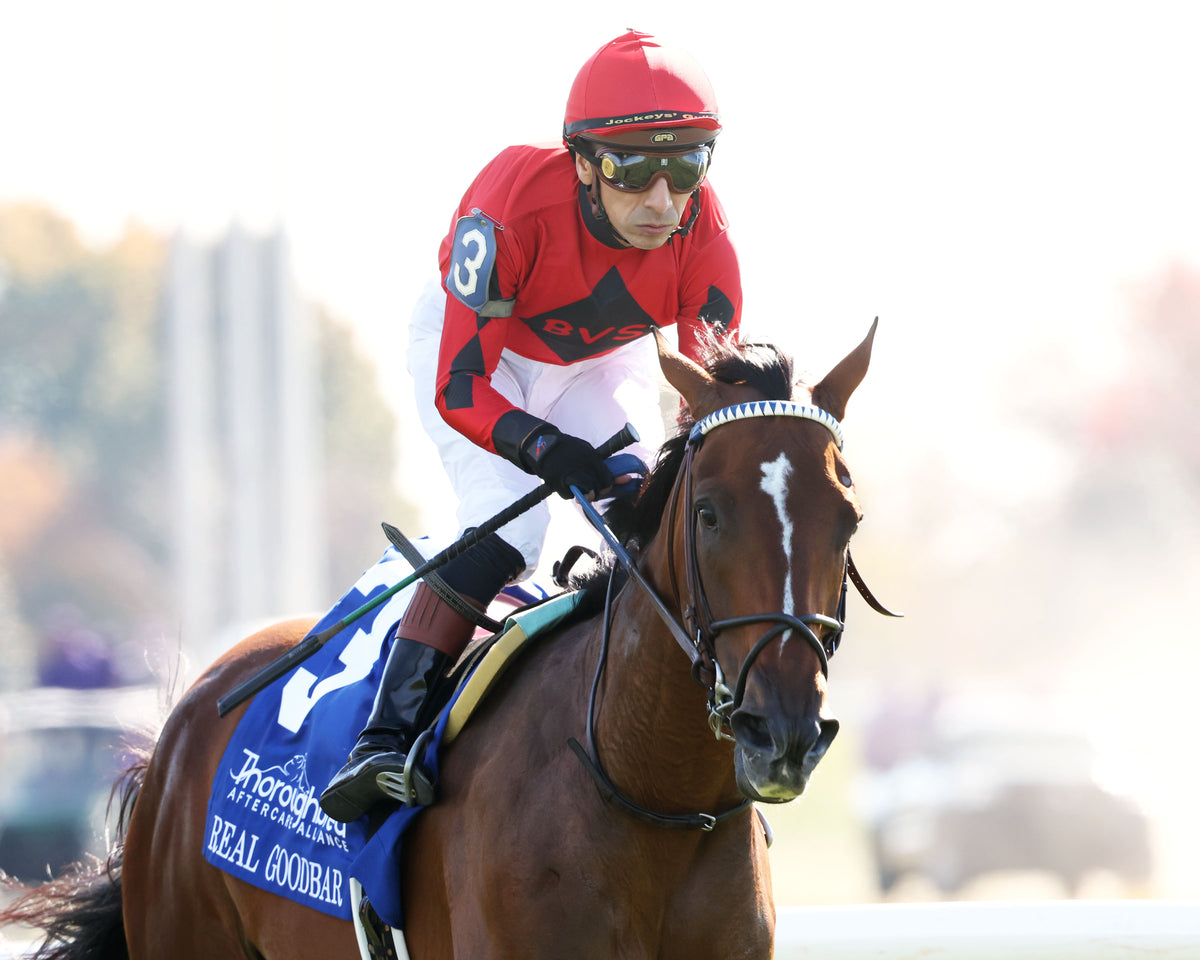 REAL GOODBAR - The Thoroughbred Aftercare Alliance - 10-30-26 - R03 - KEE - Gallop Out 01 - Coady Media - Kurtis Coady Photography