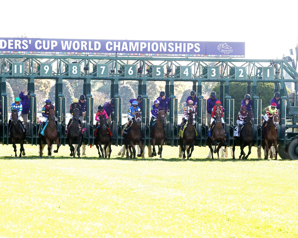 REAL GOODBAR - The Thoroughbred Aftercare Alliance - 10-30-26 - R03 - KEE - Start 01 - Coady Media - Kurtis Coady Photography
