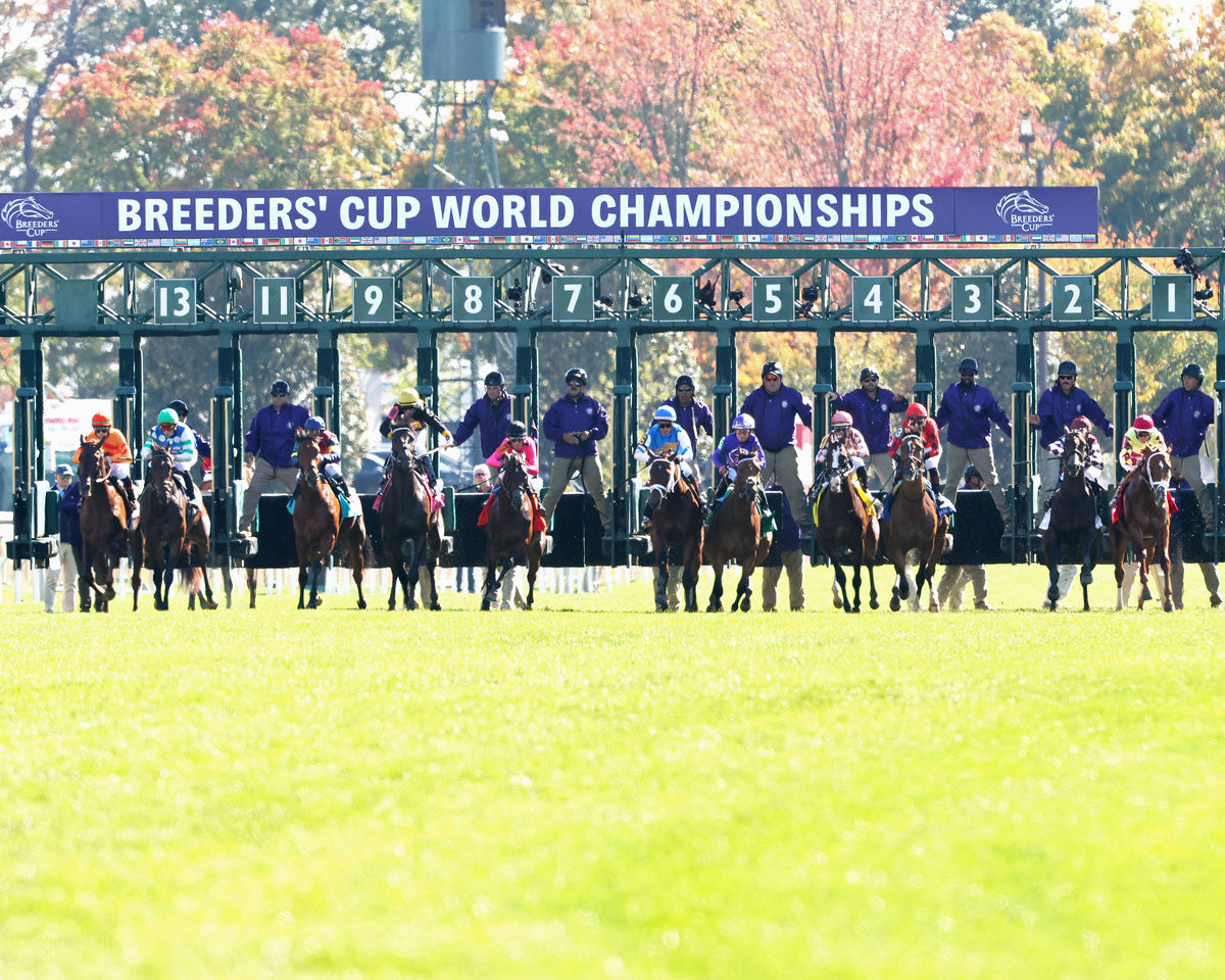 REAL GOODBAR - The Thoroughbred Aftercare Alliance - 10-30-26 - R03 - KEE - Start 02 - Coady Media - Kurtis Coady Photography