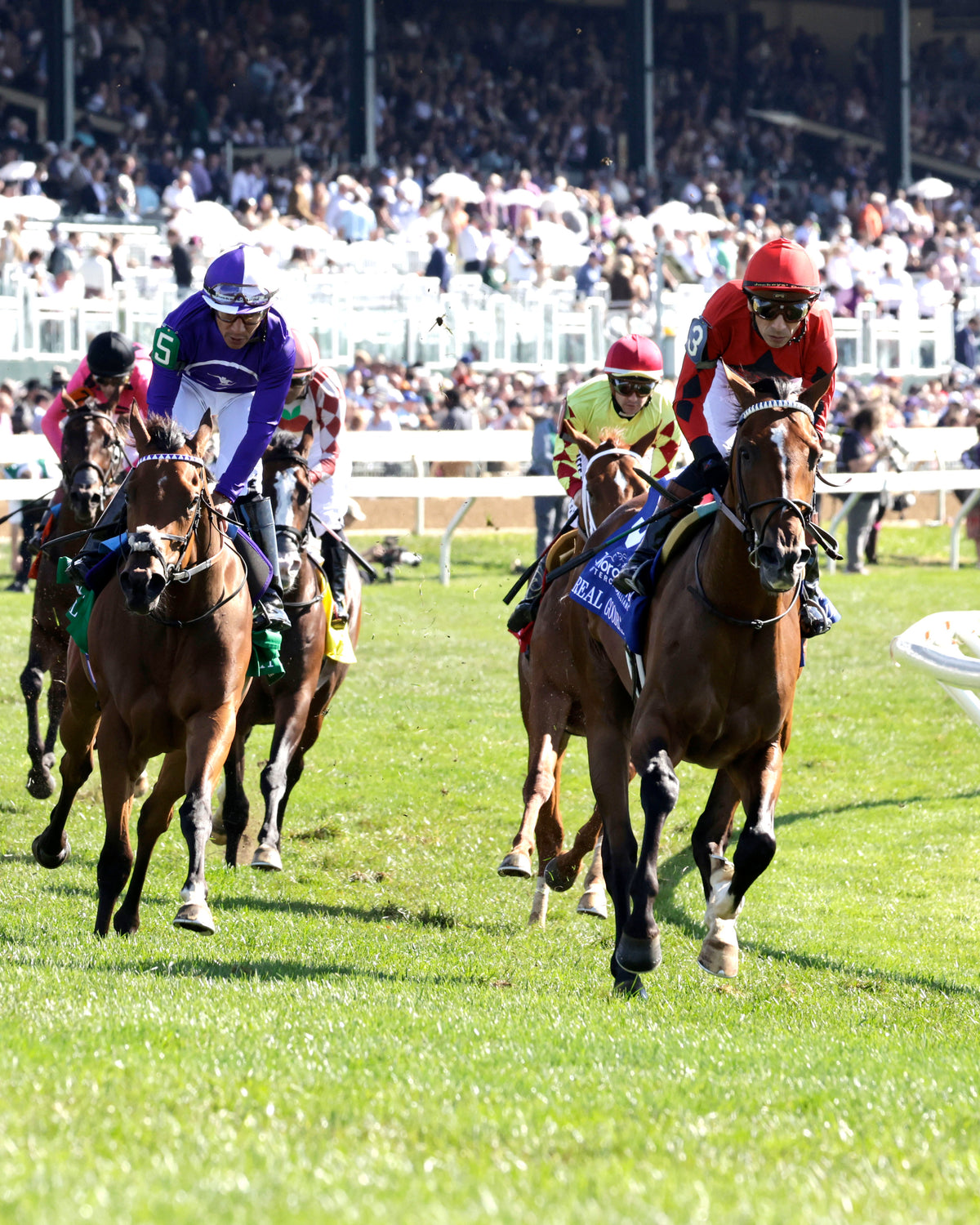 REAL GOODBAR - The Thoroughbred Aftercare Alliance - 10-30-26 - R03 - KEE - Gallop Out 03 - Coady Media - Kurtis Coady Photography