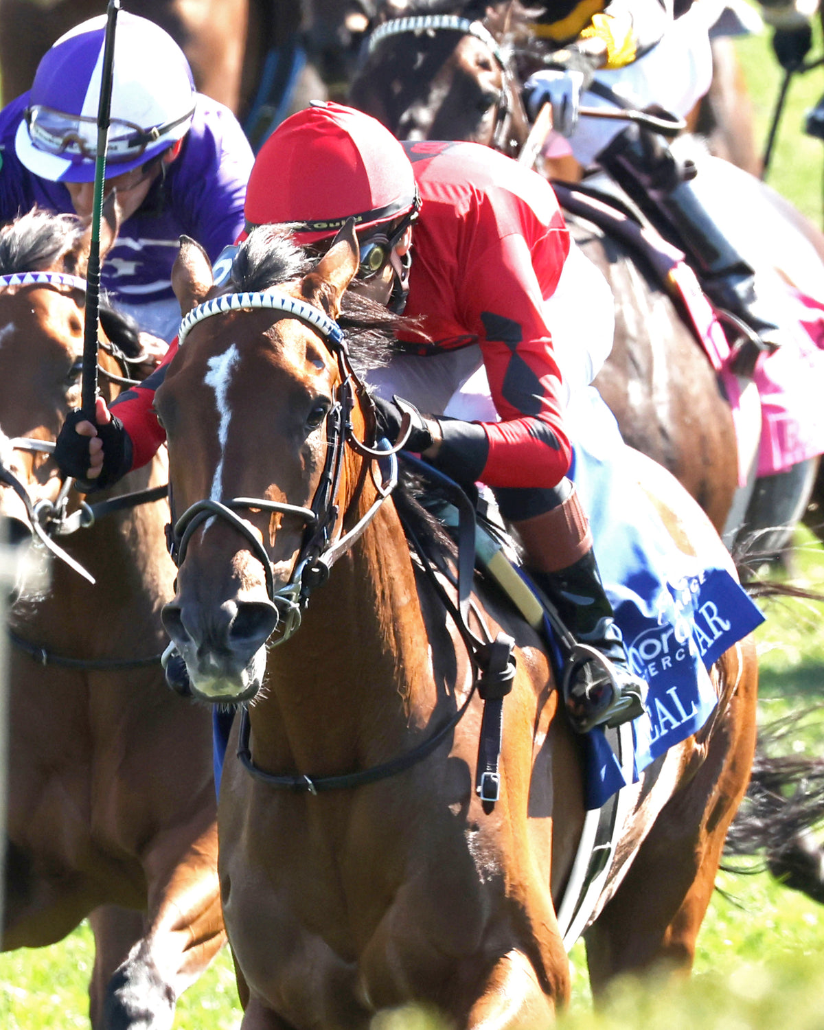 REAL GOODBAR - The Thoroughbred Aftercare Alliance - 10-30-26 - R03 - KEE - Inside Finish 02 - Coady Media - Kurtis Coady Photography