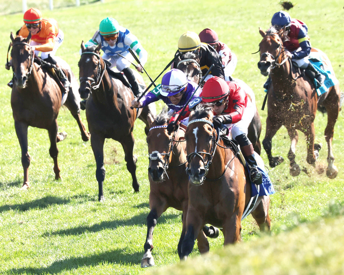 REAL GOODBAR - The Thoroughbred Aftercare Alliance - 10-30-26 - R03 - KEE - Inside Finish 03 - Coady Media - Kurtis Coady Photography