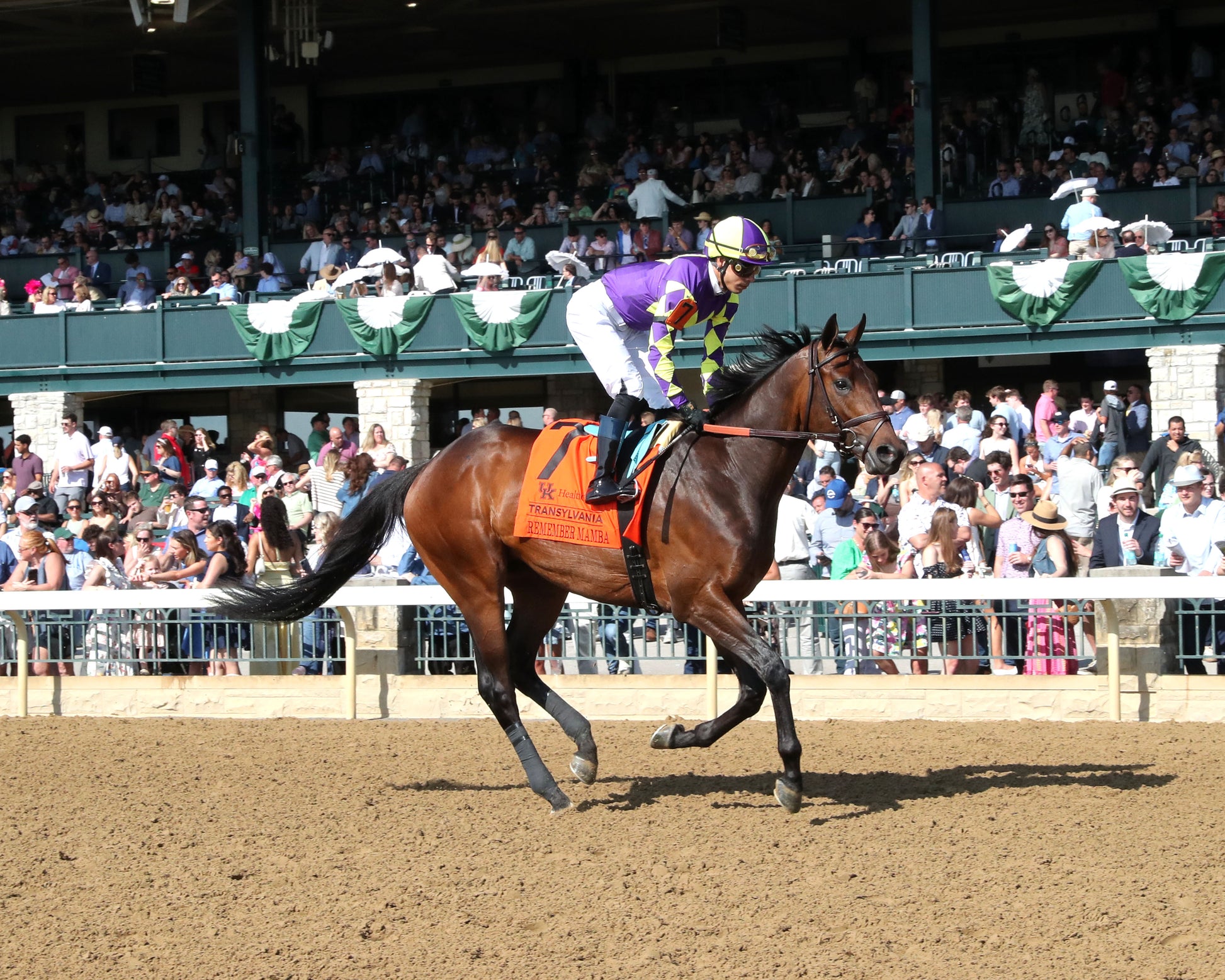 REMEMBER MAMBA - 040326 - Race 08 - KEE  The UK HealthCare Transylvania G3 - Post Parade 01 - Coady Media - Kurtis Coady Photography