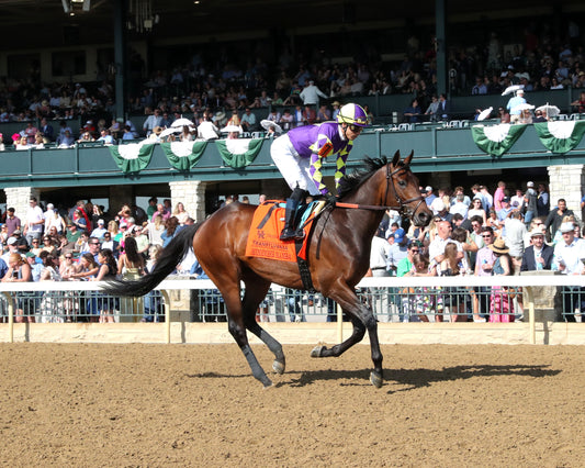 REMEMBER MAMBA - 040326 - Race 08 - KEE  The UK HealthCare Transylvania G3 - Post Parade 01 - Coady Media - Kurtis Coady Photography