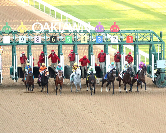 RENEGADE - The Arkansas Derby G1 - 03-28-26 - R13 - OP - Aerial Start 01 - Coady Media - Kurtis Coady Photography