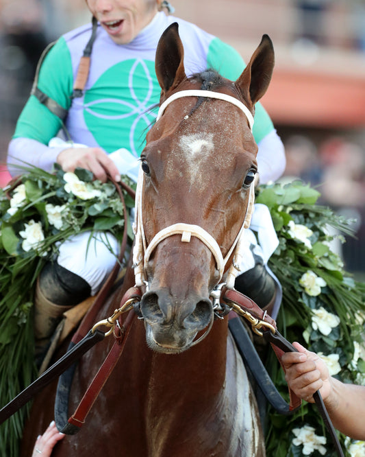 RENEGADE - The Arkansas Derby G1 - 03-28-26 - R13 - OP - Garland 01 - Coady Media - Kurtis Coady Photography