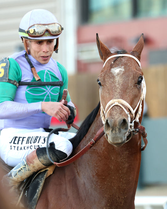 RENEGADE - The Arkansas Derby G1 - 03-28-26 - R13 - OP - Head Shot 02 - Coady Media - Kurtis Coady Photography