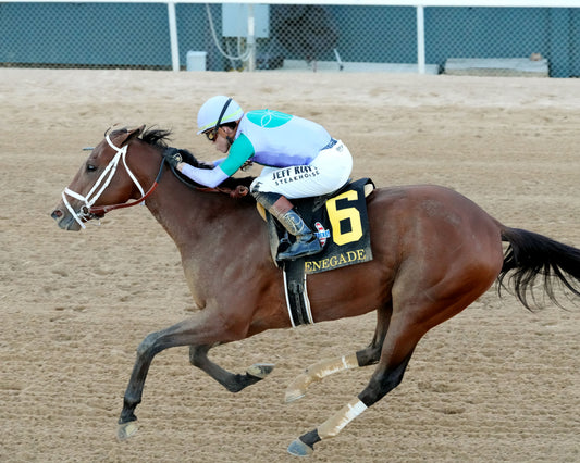 RENEGADE - The Arkansas Derby G1 - 03-28-26 - R13 - OP - Inside Finish 02 - Coady Media - Kurtis Coady Photography