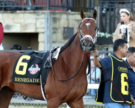 RENEGADE - The Arkansas Derby G1 - 03-28-26 - R13 - OP - Paddock 01 - Coady Media - Kurtis Coady Photography