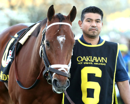 RENEGADE - The Arkansas Derby G1 - 03-28-26 - R13 - OP - Paddock 03 - Coady Media - Kurtis Coady Photography