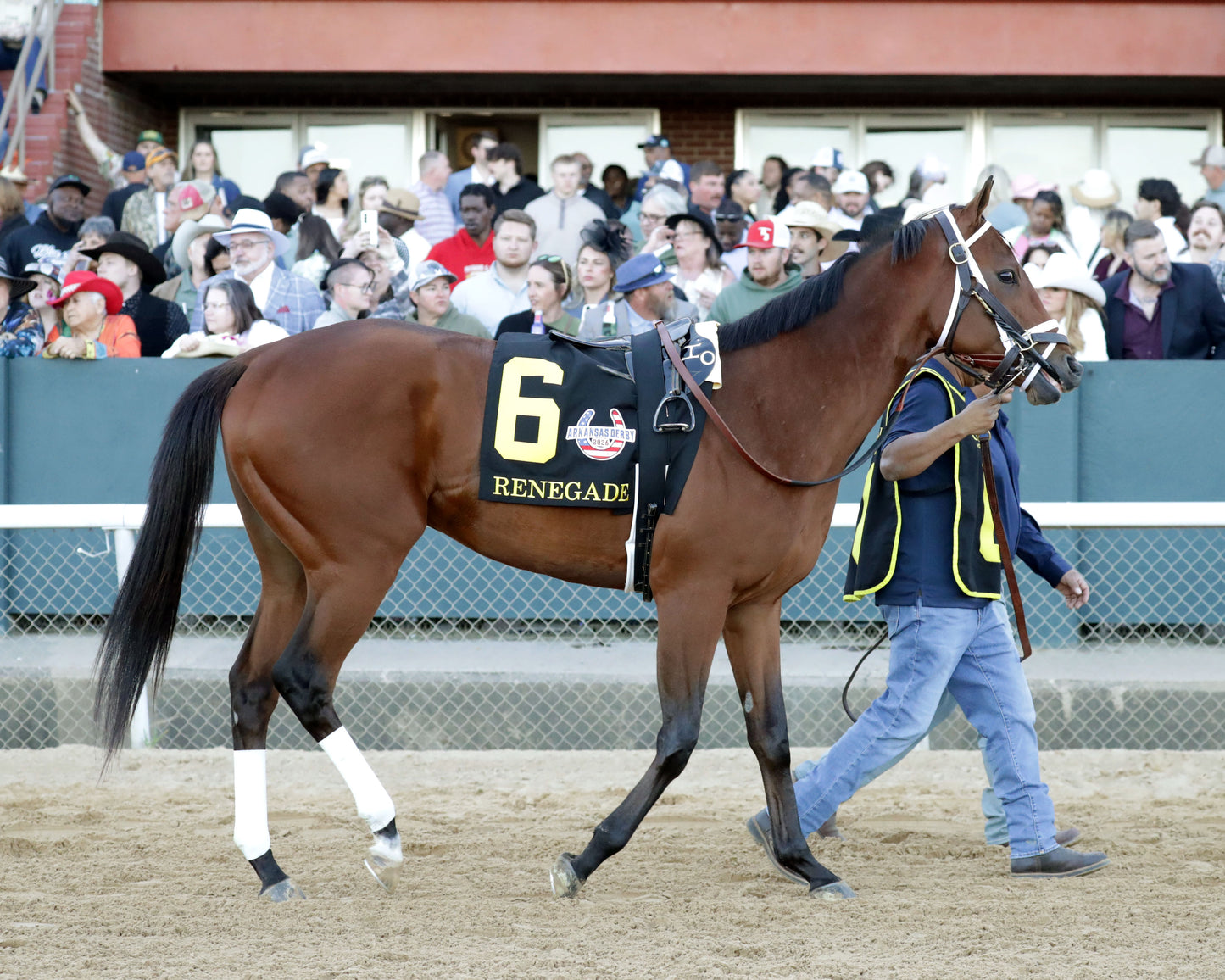 RENEGADE - The Arkansas Derby G1 - 03-28-26 - R13 - OP - Paddock 04 - Coady Media - Kurtis Coady Photography