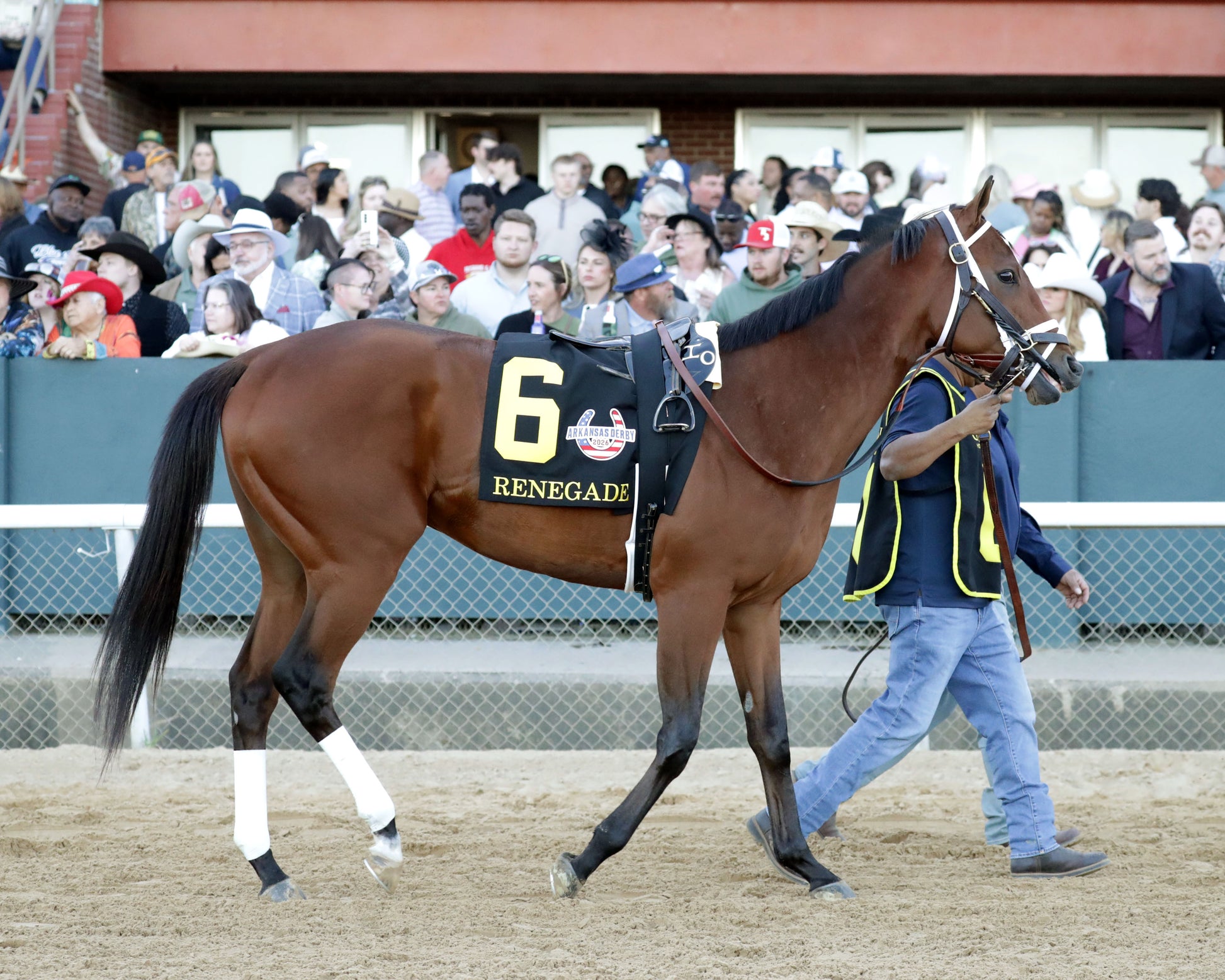 RENEGADE - The Arkansas Derby G1 - 03-28-26 - R13 - OP - Paddock 04 - Coady Media - Kurtis Coady Photography