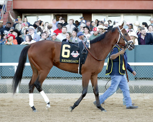 RENEGADE - The Arkansas Derby G1 - 03-28-26 - R13 - OP - Paddock 04 - Coady Media - Kurtis Coady Photography