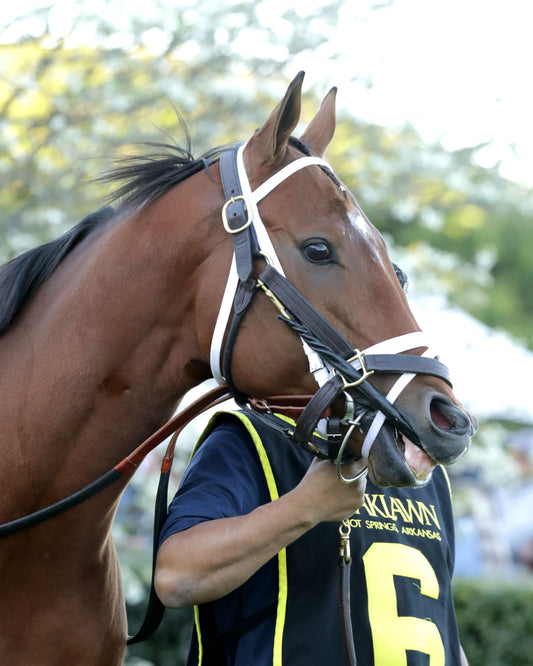 RENEGADE - The Arkansas Derby G1 - 03-28-26 - R13 - OP - Paddock 05 - Coady Media - Kurtis Coady Photography