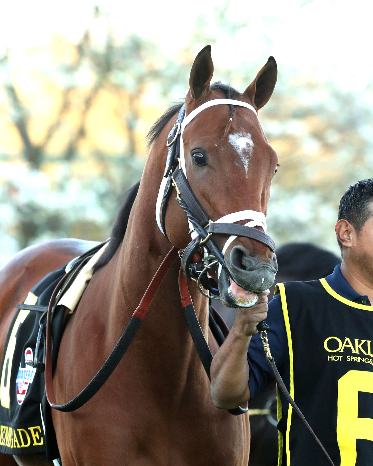 RENEGADE - The Arkansas Derby G1 - 03-28-26 - R13 - OP - Paddock 06 - Coady Media - Kurtis Coady Photography
