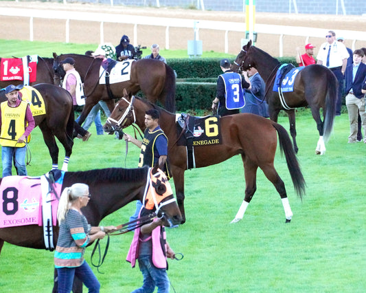 RENEGADE - The Arkansas Derby G1 - 03-28-26 - R13 - OP - Paddock 10 - Coady Media - Kurtis Coady Photography