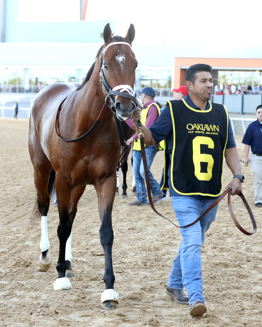 RENEGADE - The Arkansas Derby G1 - 03-28-26 - R13 - OP - Walk Over 01 - Coady Media - Kurtis Coady Photography