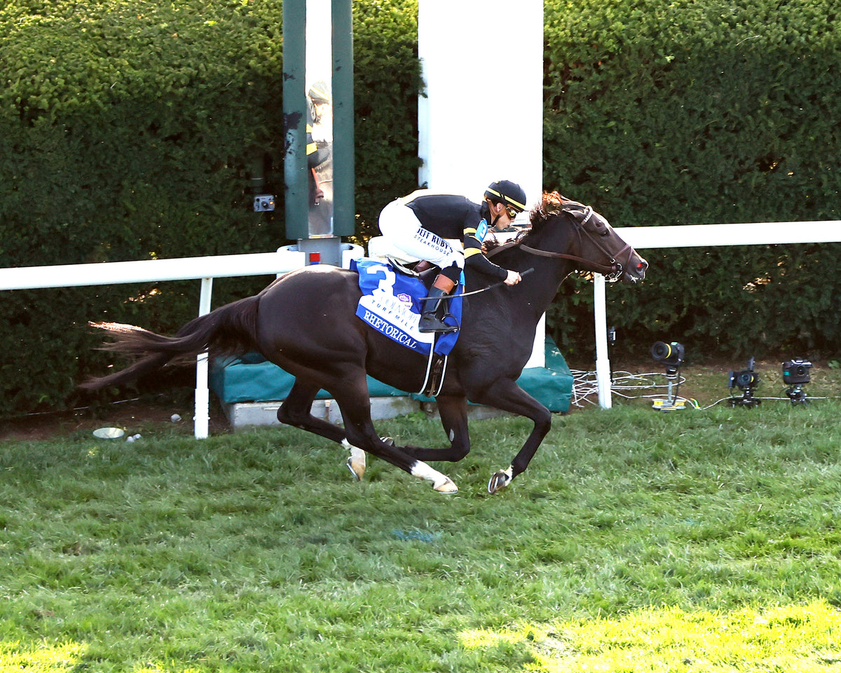 RHETORICAL - 100326 - Race 10 - KEE  The Coolmore Turf Mile G1 - Aerial Finish 01