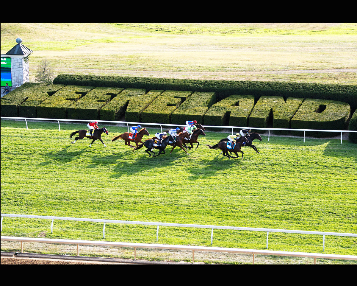 RHETORICAL - 100326 - Race 10 - KEE  The Coolmore Turf Mile G1 - First Pass 01