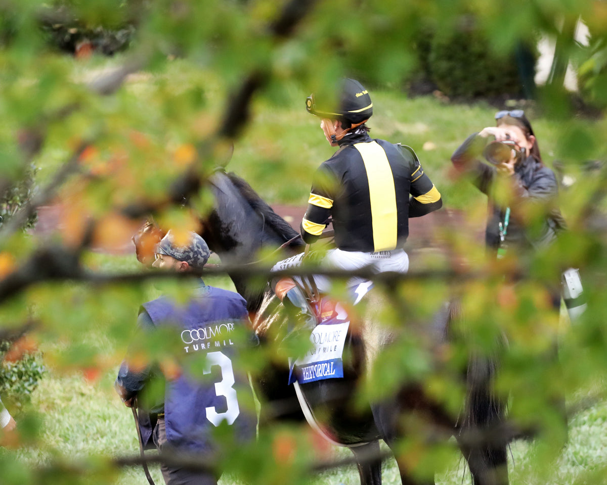 RHETORICAL - 100326 - Race 10 - KEE  The Coolmore Turf Mile G1 - Come Back 03
