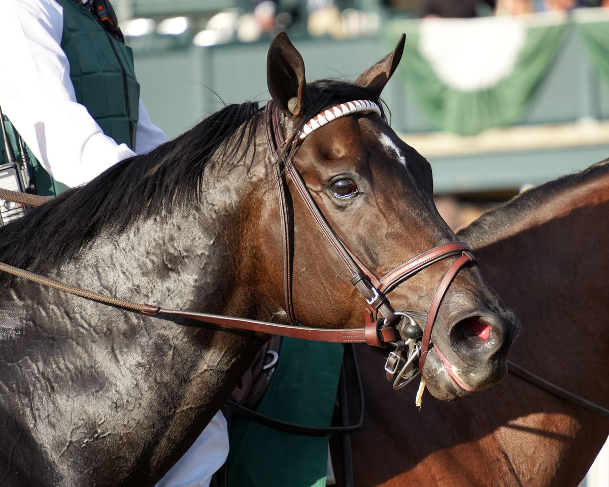 RHETORICAL - 100326 - Race 10 - KEE  The Coolmore Turf Mile G1 - Come Back 06