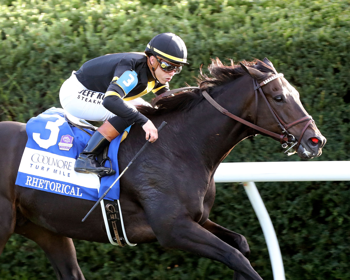 RHETORICAL - 100326 - Race 10 - KEE  The Coolmore Turf Mile G1 - Finish 04
