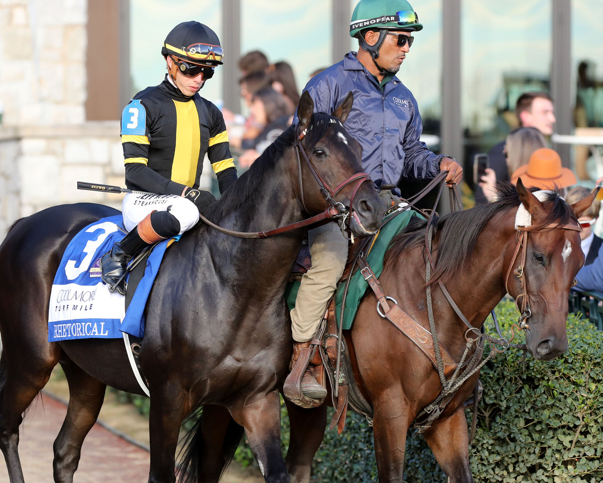 RHETORICAL - 100326 - Race 10 - KEE  The Coolmore Turf Mile G1 -Post Parade 01