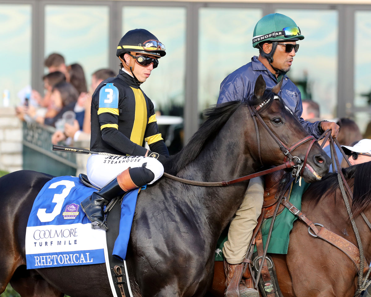 RHETORICAL - 100326 - Race 10 - KEE  The Coolmore Turf Mile G1 -Post Parade 02
