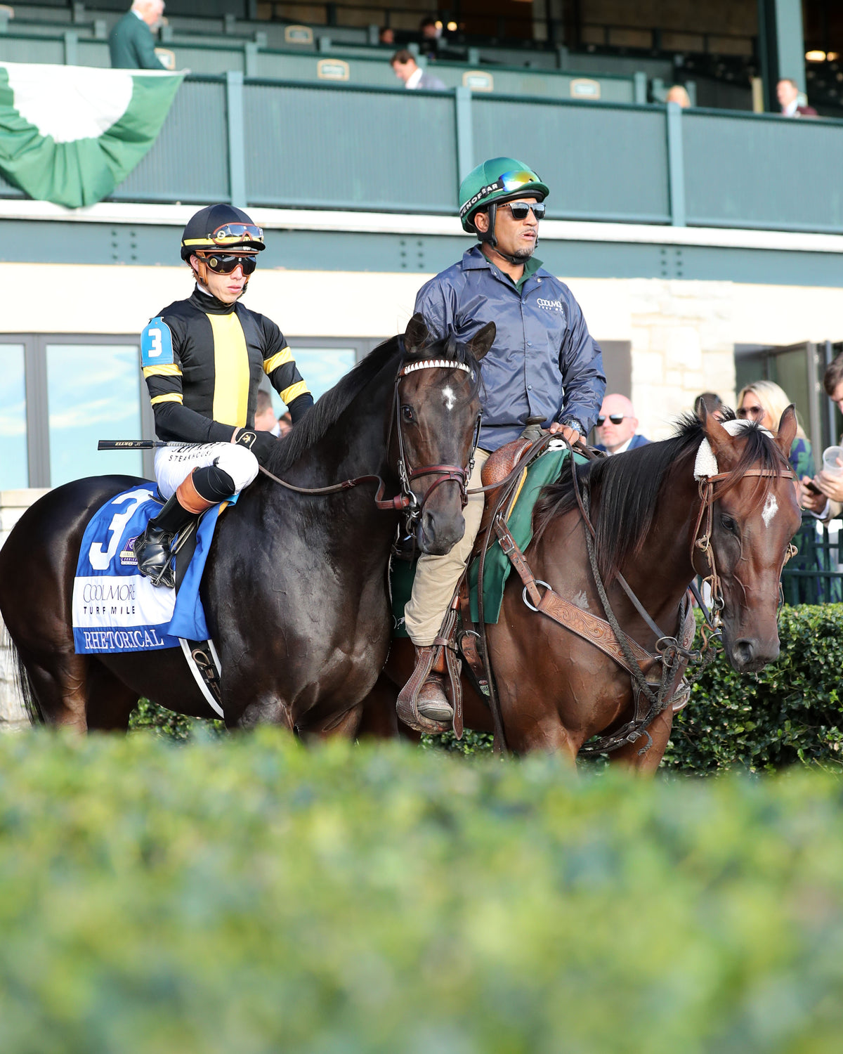 RHETORICAL - 100326 - Race 10 - KEE  The Coolmore Turf Mile G1 -Post Parade 04