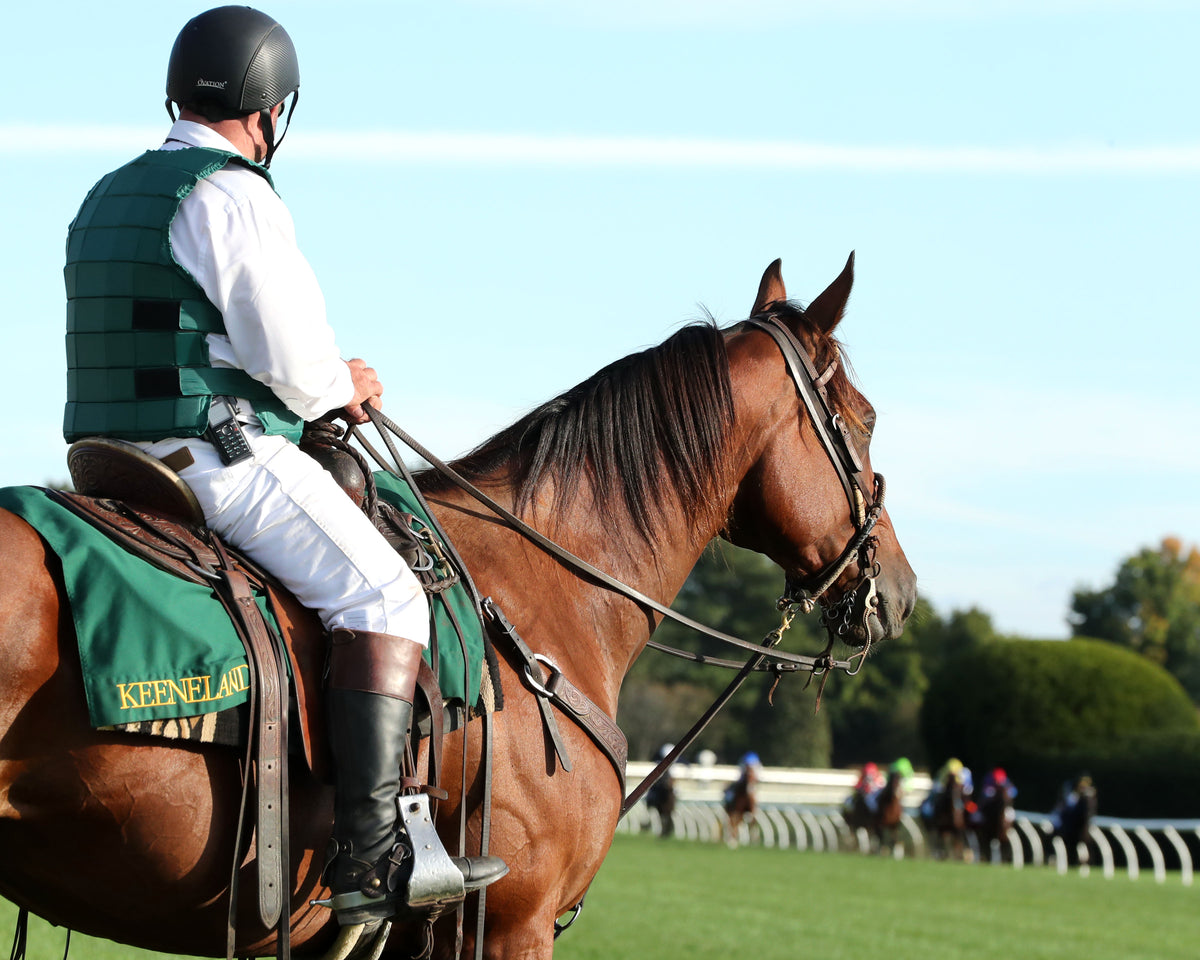 RHETORICAL - 100326 - Race 10 - KEE  The Coolmore Turf Mile G1 - Sam 01