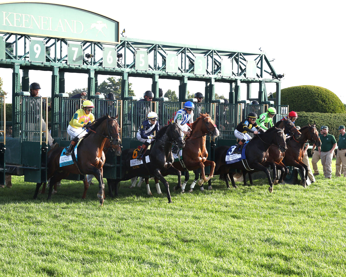 RHETORICAL - 100326 - Race 10 - KEE  The Coolmore Turf Mile G1 - Start 03