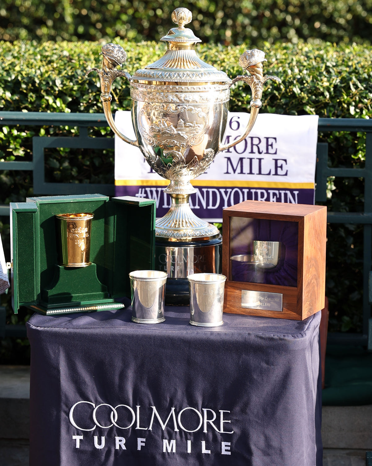 RHETORICAL - 100326 - Race 10 - KEE  The Coolmore Turf Mile G1 - Trophy 02