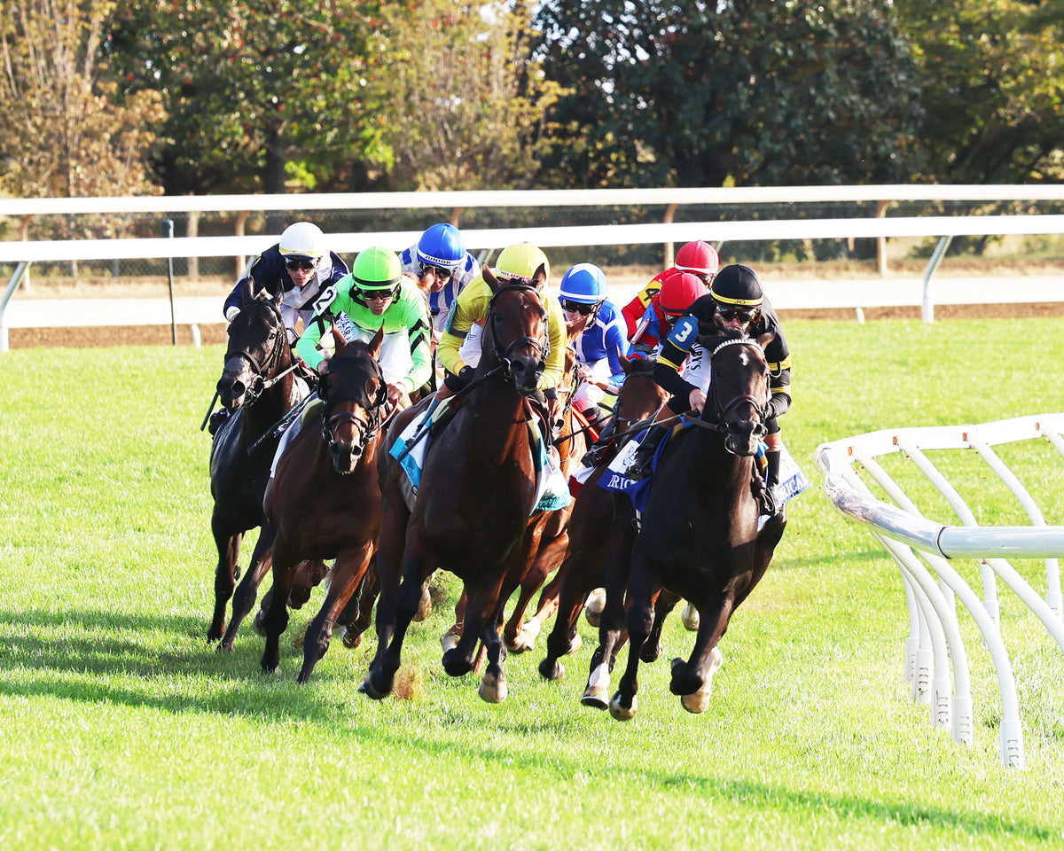 RHETORICAL - 100326 - Race 10 - KEE  The Coolmore Turf Mile G1 - Turn 01
