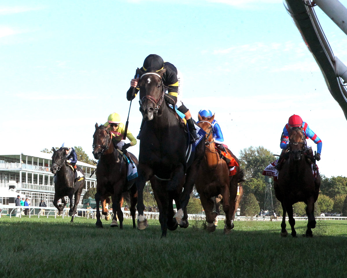 RHETORICAL - 100326 - Race 10 - KEE  The Coolmore Turf Mile G1 - Under Rail 01