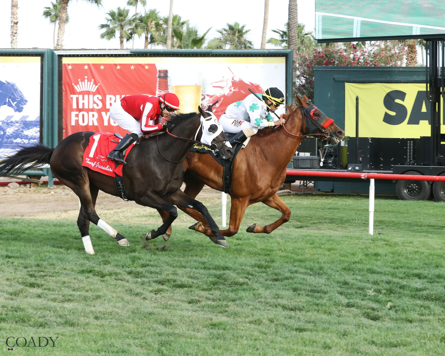 RIMPROTECTOR - Richard Hazelton Hasta La Vista - 05-02-26 - R10 - Turf Paradise - Finish - Coady Media - Kurtis Coady Photography