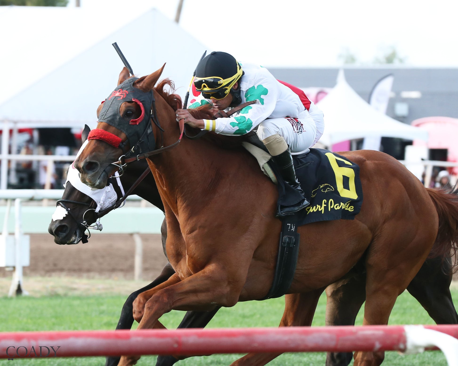 RIMPROTECTOR - Richard Hazelton Hasta La Vista - 05-02-26 - R10 - Turf Paradise - Inside Finish (Copy) - Coady Media - Kurtis Coady Photography