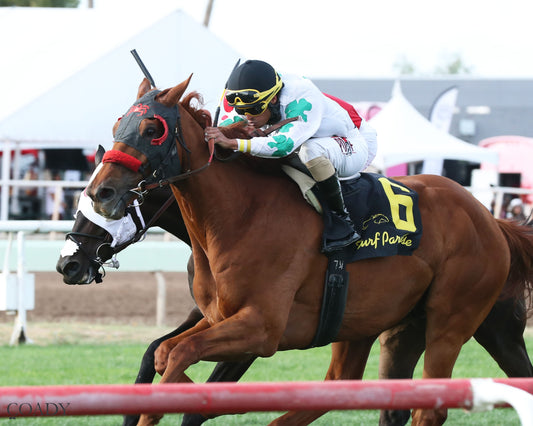 RIMPROTECTOR - Richard Hazelton Hasta La Vista - 05-02-26 - R10 - Turf Paradise - Inside Finish (Copy) - Coady Media - Kurtis Coady Photography