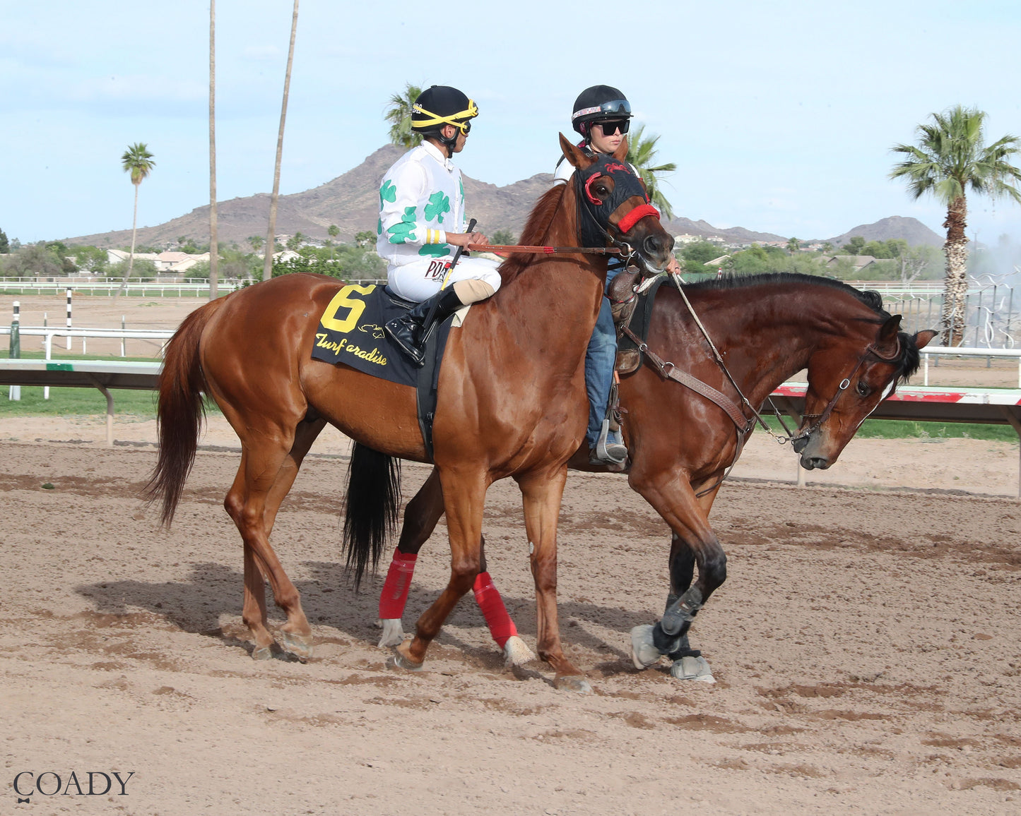 RIMPROTECTOR - Richard Hazelton Hasta La Vista - 05-02-26 - R10 - Turf Paradise - Post Parade - Coady Media - Kurtis Coady Photography