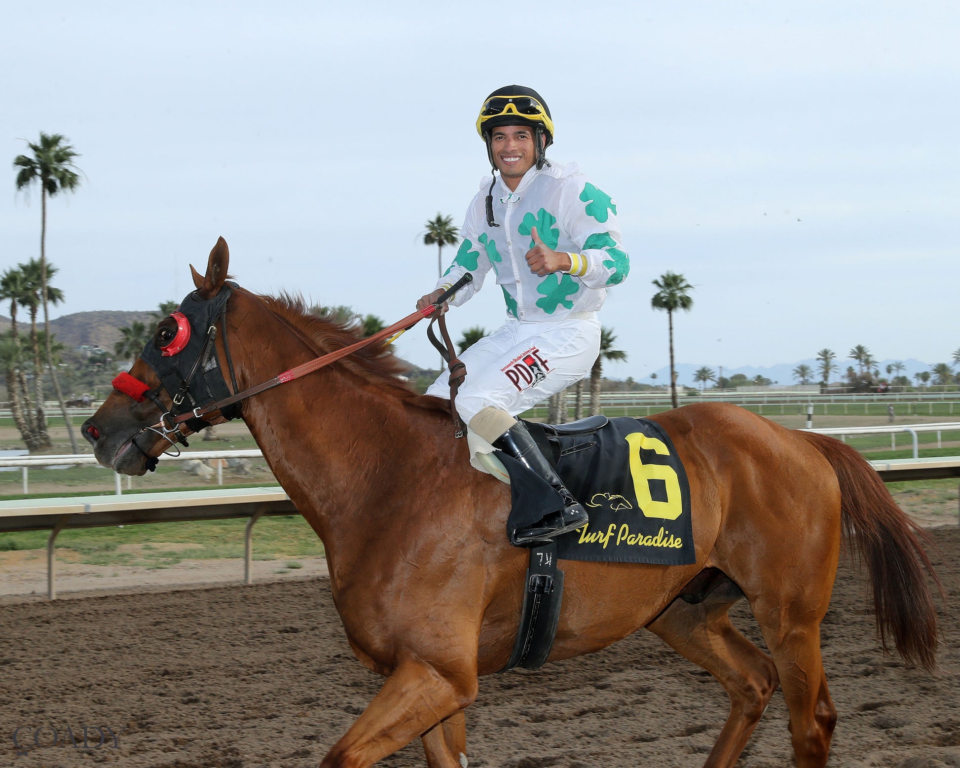 RIMPROTECTOR - Richard Hazelton Hasta La Vista - 05-02-26 - R10 - Turf Paradise - Return Shot 2 - Coady Media - Kurtis Coady Photography