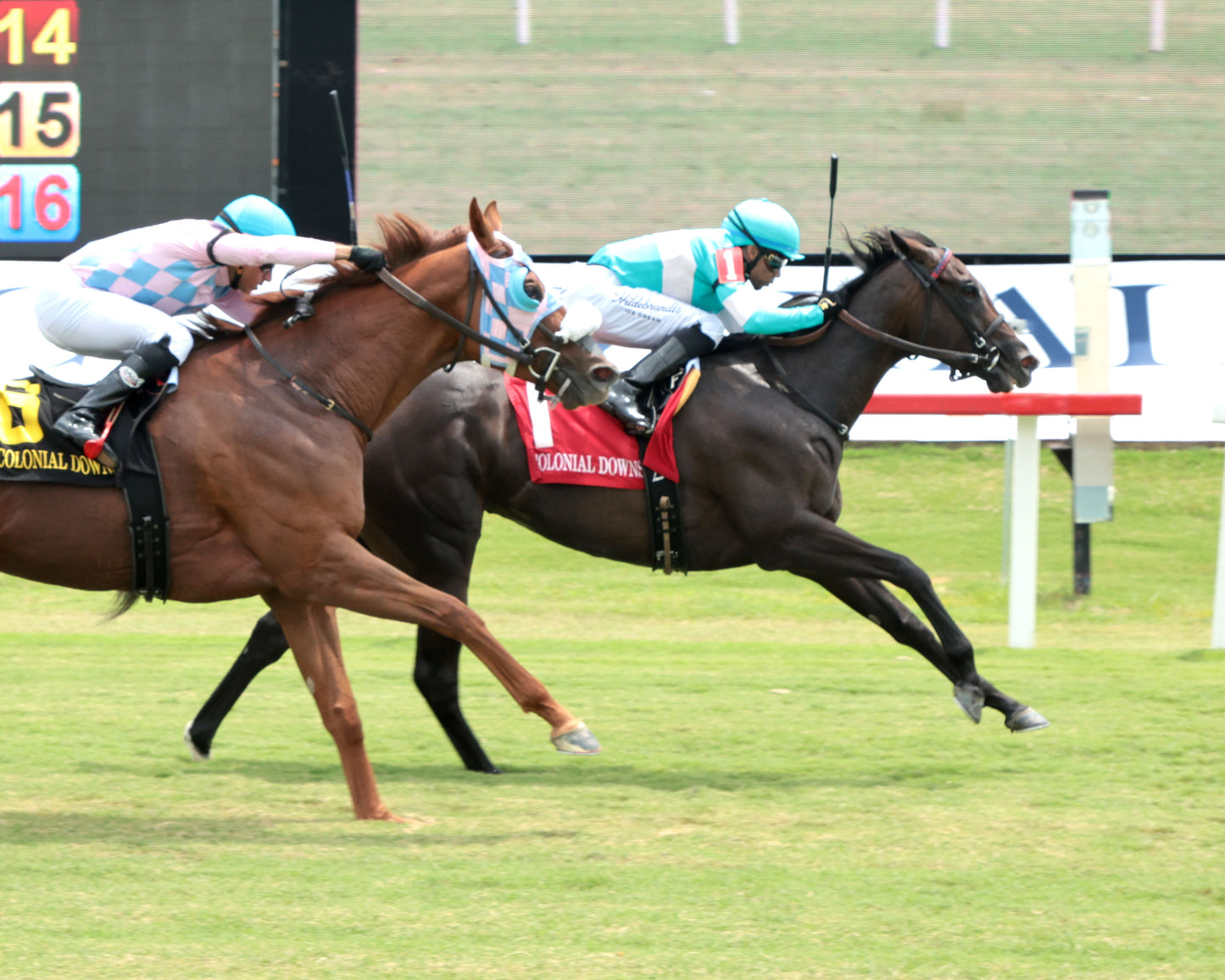 ROJA - The Andy Guest Stakes - 08-01-26 - R04 - CNL - Finish 01