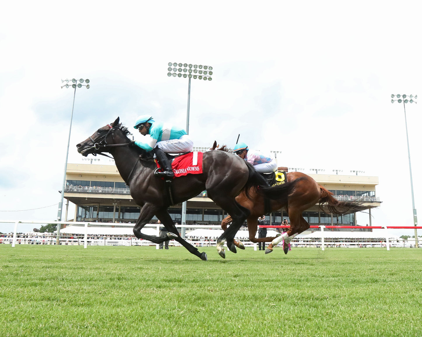ROJA - The Andy Guest Stakes - 08-01-26 - R04 - CNL - Under Rail 02