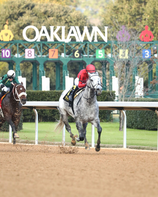 ROLL ON BIG JOE - Ring The Bell Stakes - 12-13-25 - R08 - OP - Finish 03