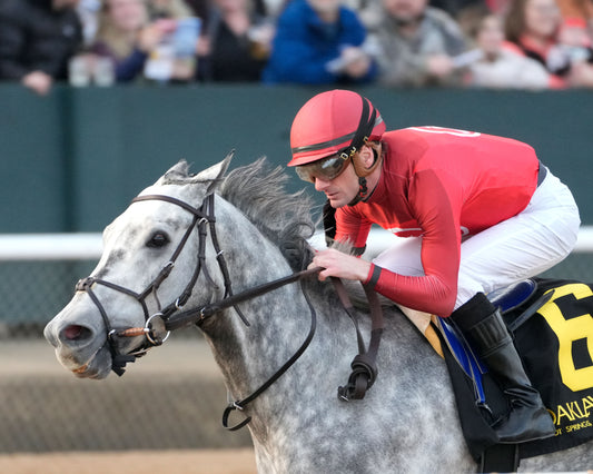 ROLL ON BIG JOE - Ring The Bell Stakes - 12-13-25 - R08 - OP - Presentation 01