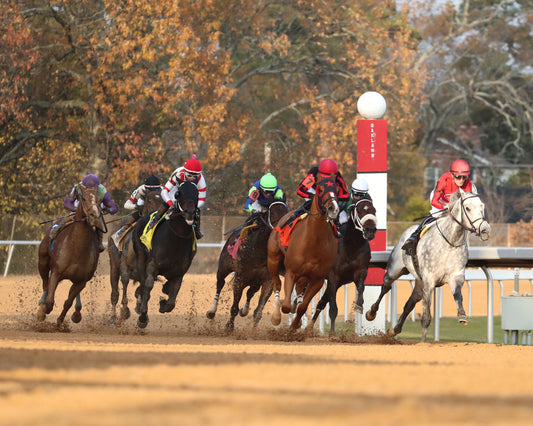 ROLL ON BIG JOE - Ring The Bell Stakes - 12-13-25 - R08 - OP - Turn 01